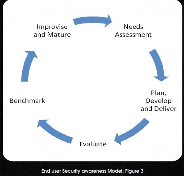 Constructing mature information security awareness and educational ...